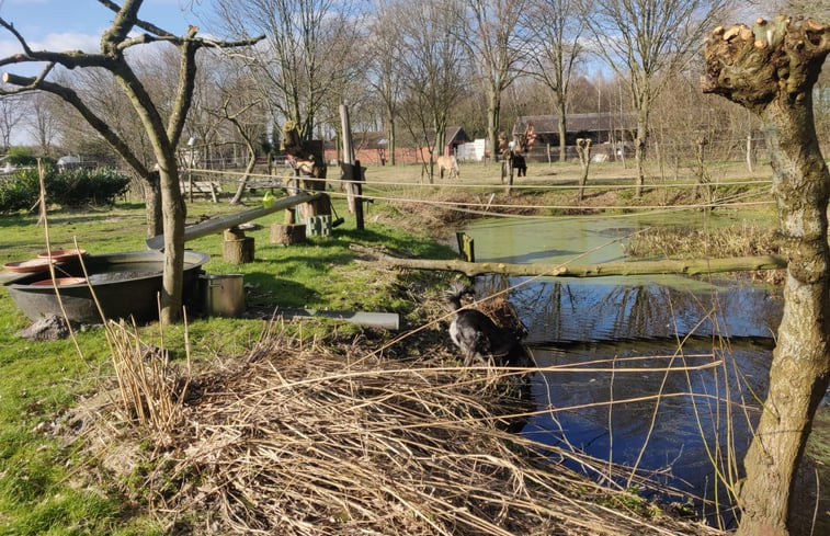 Natuurhuisje in Vriezenveen