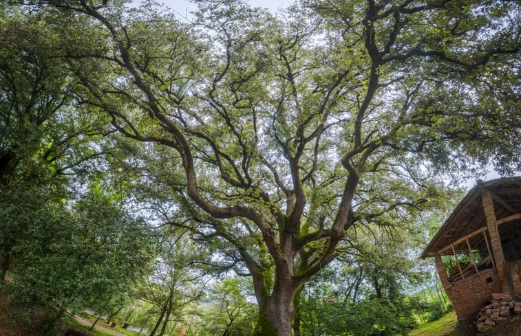 Natuurhuisje in Mieres