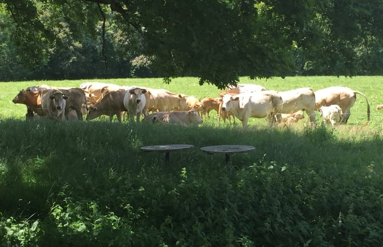 Natuurhuisje in Bétête