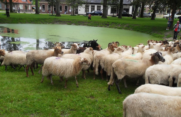 Natuurhuisje in Dwingeloo