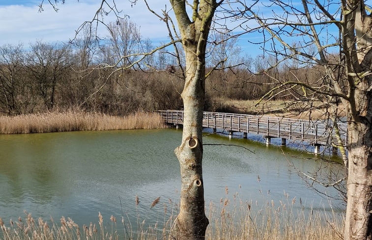 Natuurhuisje in Scherpenisse