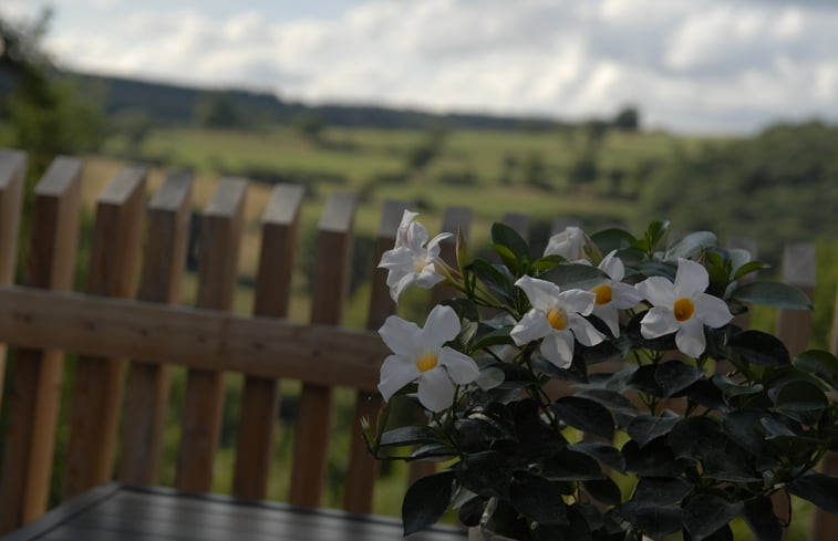 Natuurhuisje in Erezée