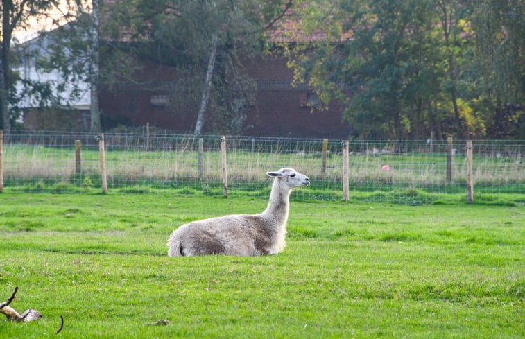 Natuurhuisje in Reningelst