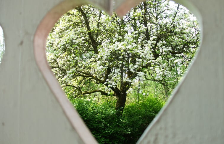 Natuurhuisje in Urshult