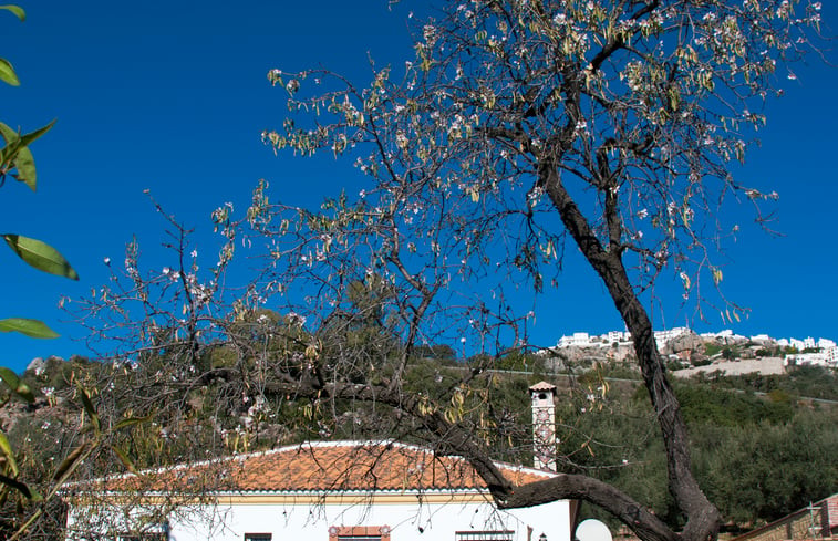 Natuurhuisje in COMARES