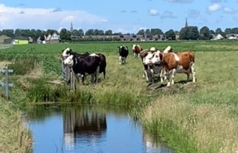 Natuurhuisje in Schagen