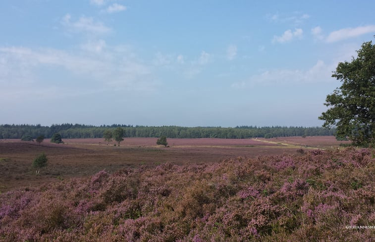 Natuurhuisje in Oldebroek