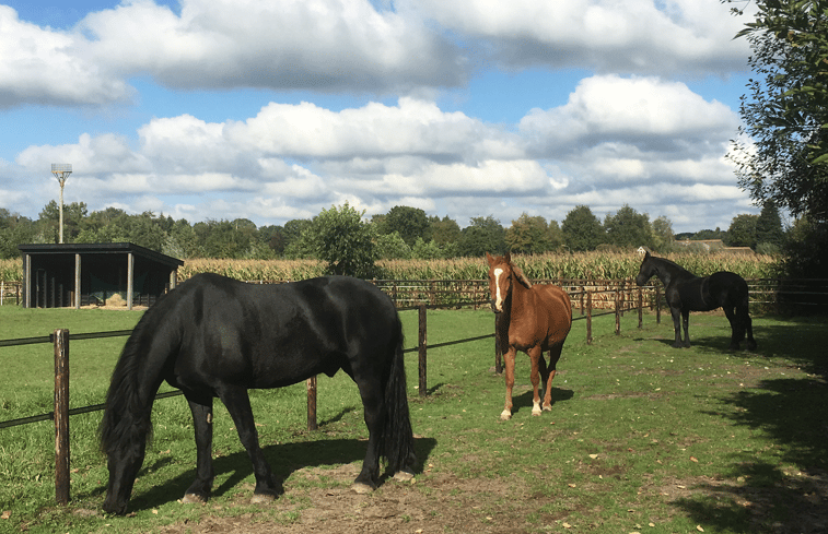 Natuurhuisje in Vaassen