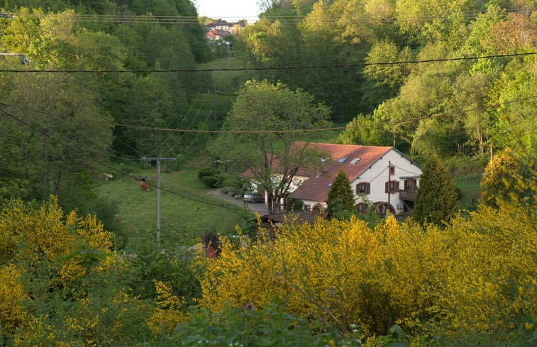 Natuurhuisje in Ban de Sapt