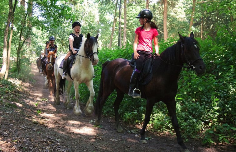 Natuurhuisje in Riethoven