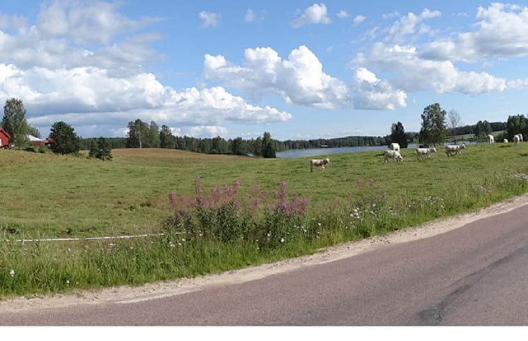 Natuurhuisje in Vadjetorp, Torsby