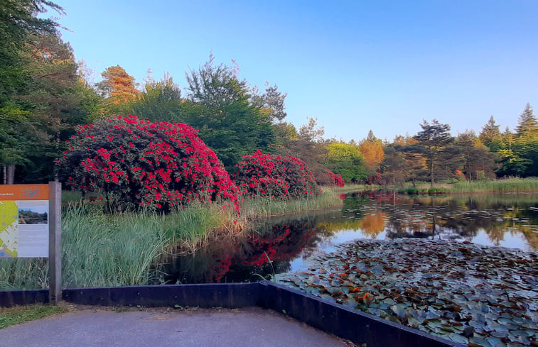 Natuurhuisje in Wijnjewoude