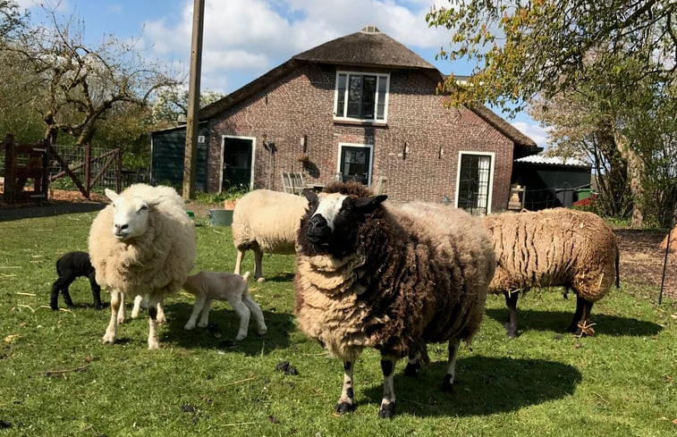 Natuurhuisje in Woerdense Verlaat