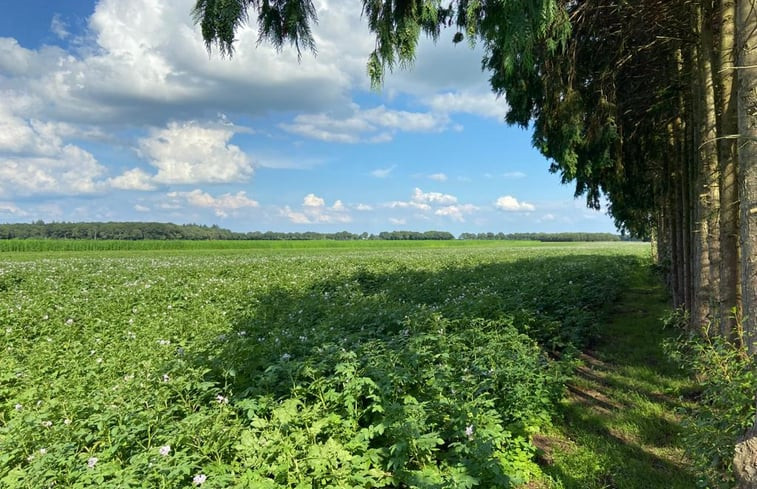 Natuurhuisje in Odoorn