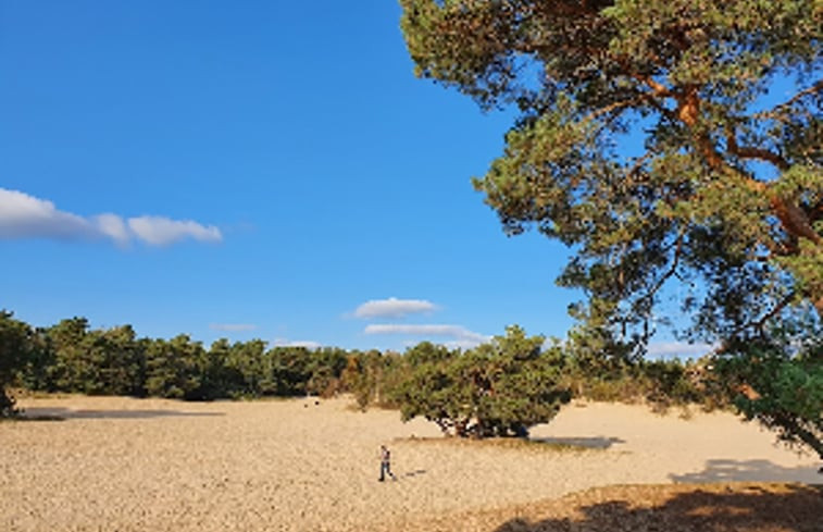 Natuurhuisje in Doornspijk