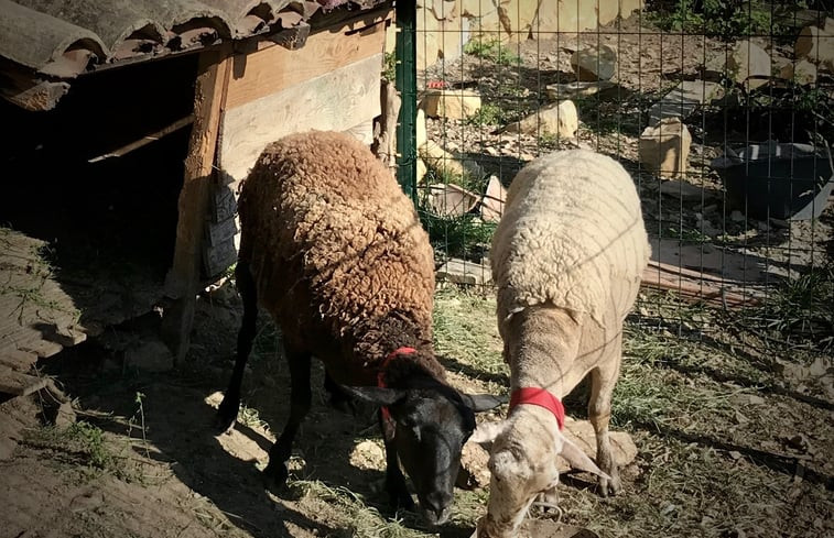 Natuurhuisje in Villeneuve-de-berg