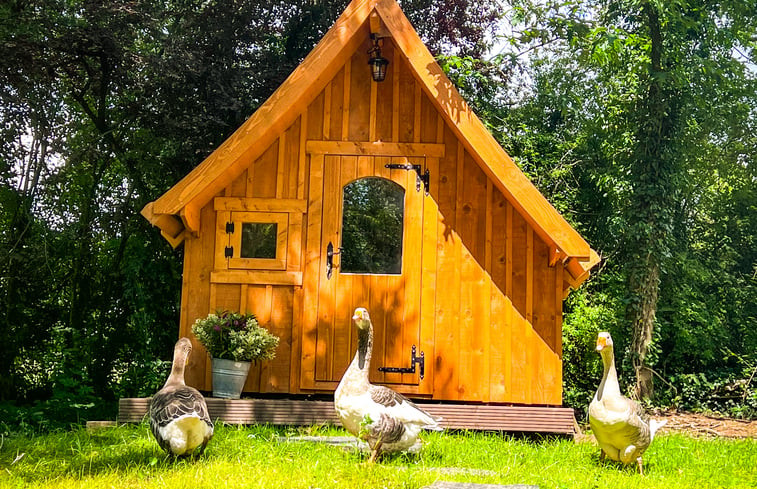 Natuurhuisje in Ulmen