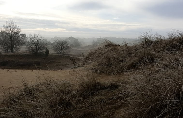 Natuurhuisje in Kootwijk