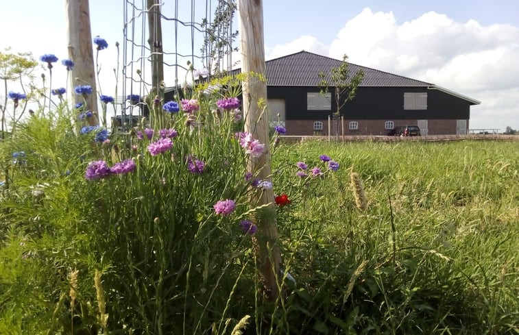 Natuurhuisje in Streefkerk