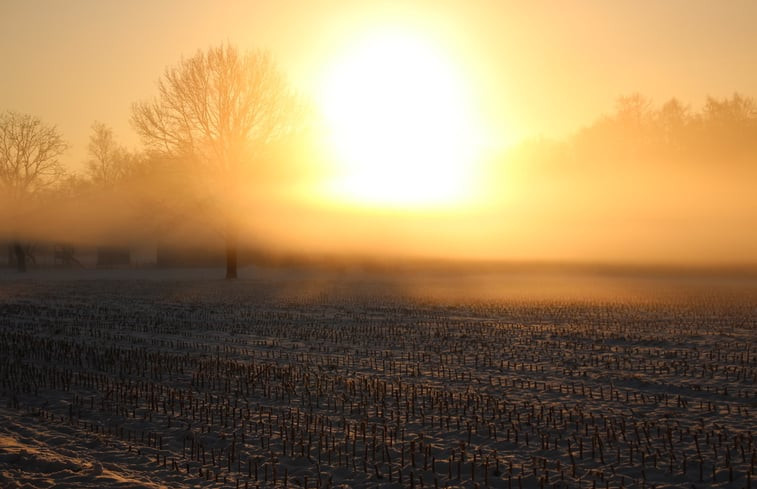 Natuurhuisje in Tonden