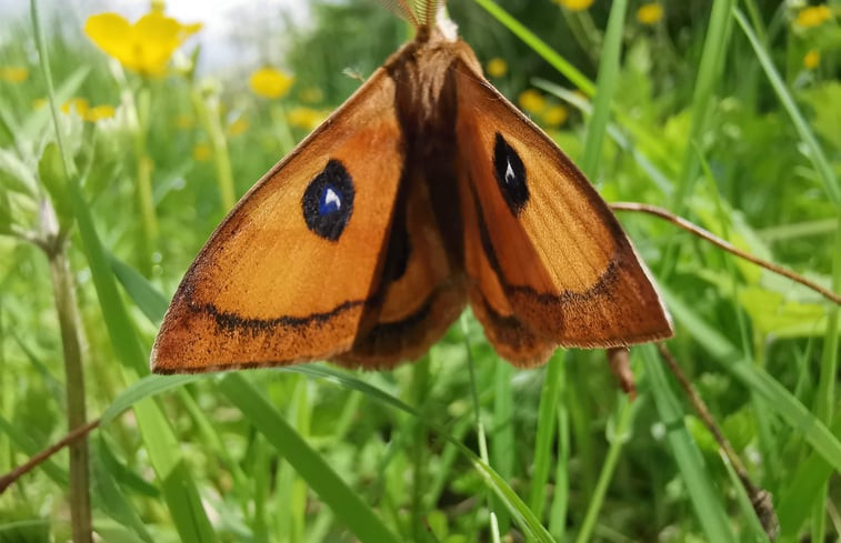 Natuurhuisje in PENSOL