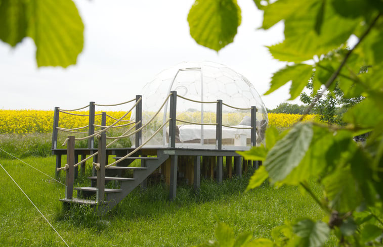 Natuurhuisje in Kalletal