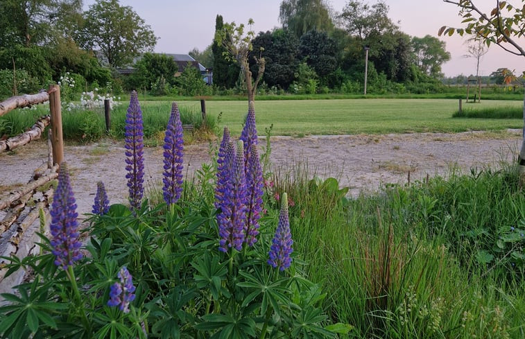 Natuurhuisje in Moergestel