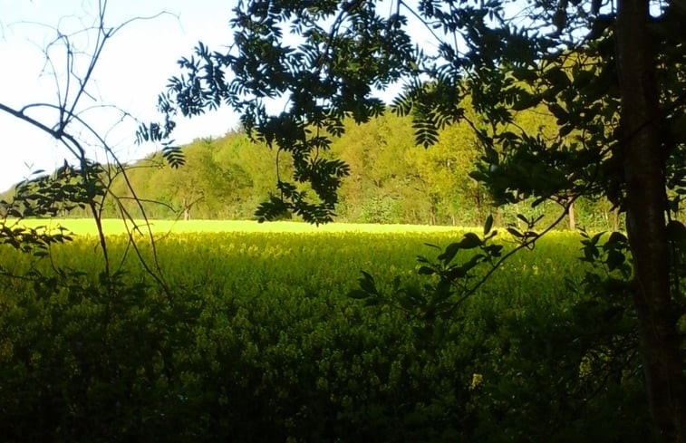 Natuurhuisje in Boijl