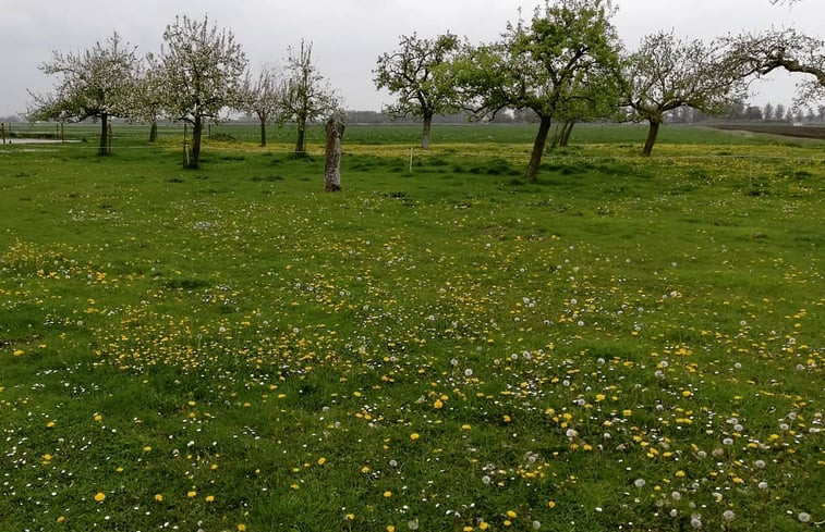 Natuurhuisje in Hem