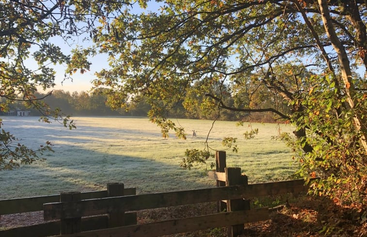 Natuurhuisje in Oldeholtpade