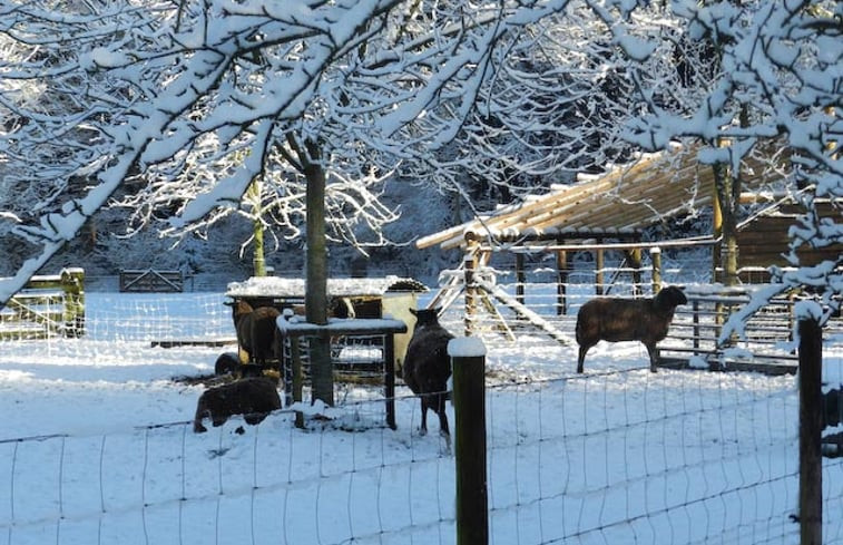 Natuurhuisje in Boschoord