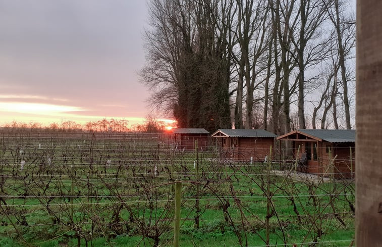 Natuurhuisje in Simonshaven