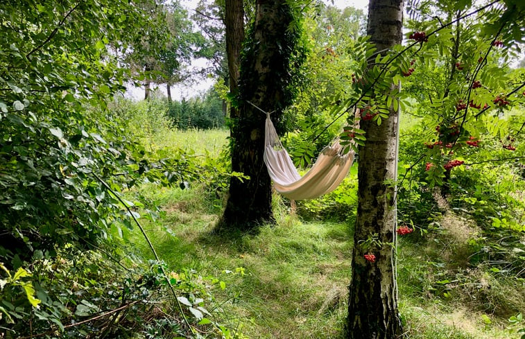 Natuurhuisje in Varsseveld