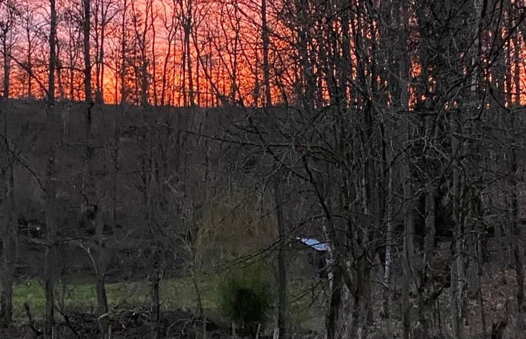 Natuurhuisje in La roche-en-ardenne