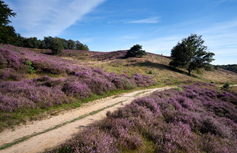 Natuurhuisje in Elspeet