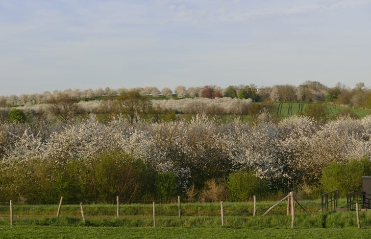 Natuurhuisje in Eijsden-Margraten