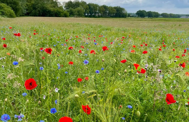 Natuurhuisje in Eeserveen