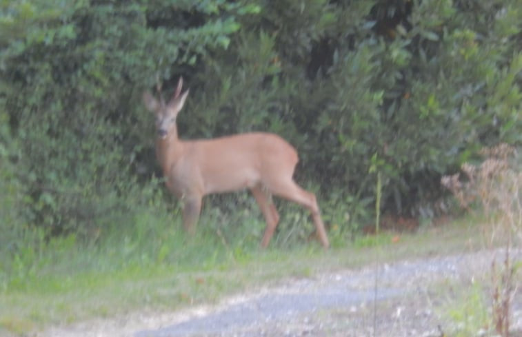 Natuurhuisje in Lalanne-arqué