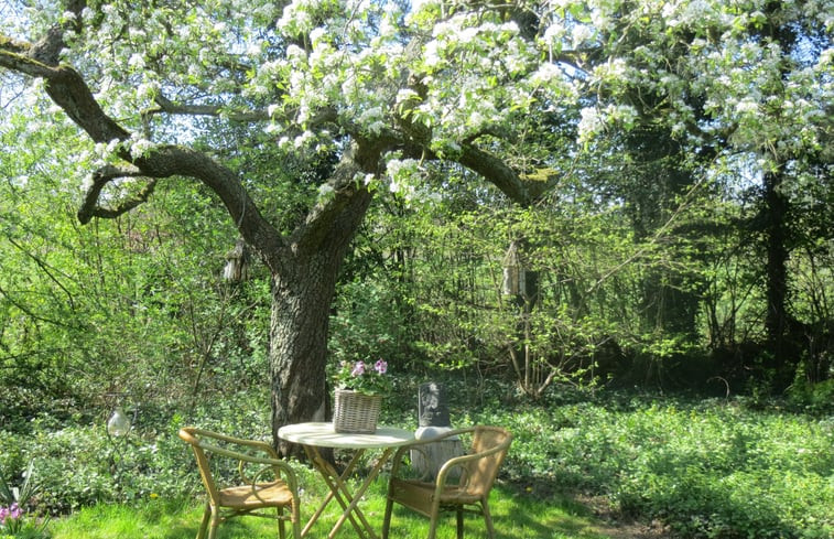 Natuurhuisje in Warnsveld