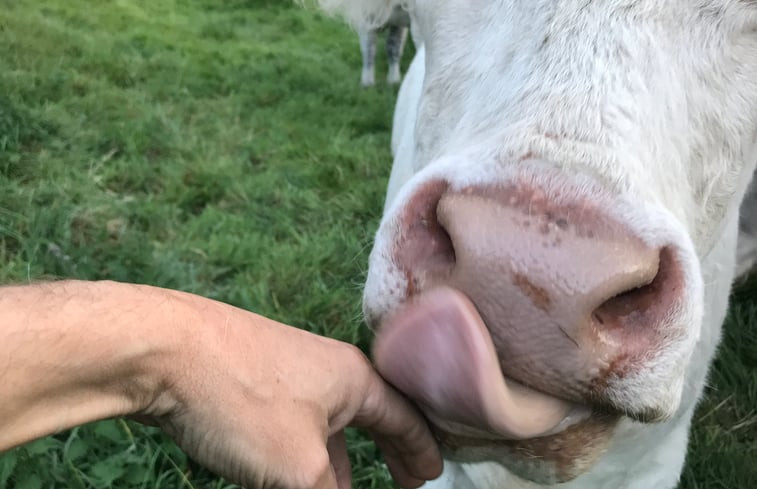 Natuurhuisje in Neuenkirchen / Rügen