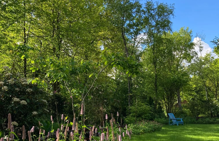 Natuurhuisje in Gasselte