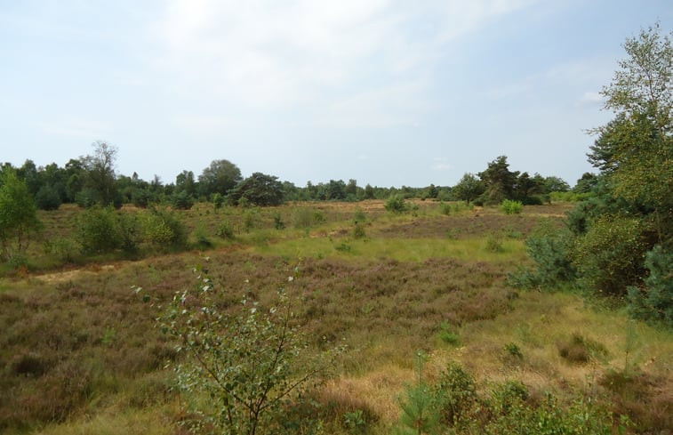 Natuurhuisje in Dwingeloo