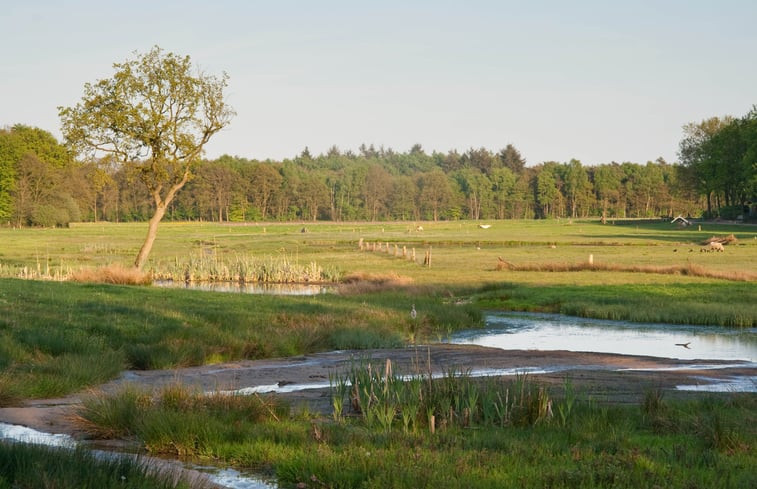 Natuurhuisje in Hezingen