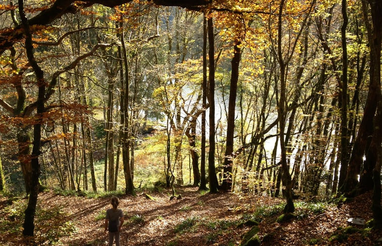 Natuurhuisje in Viroinval