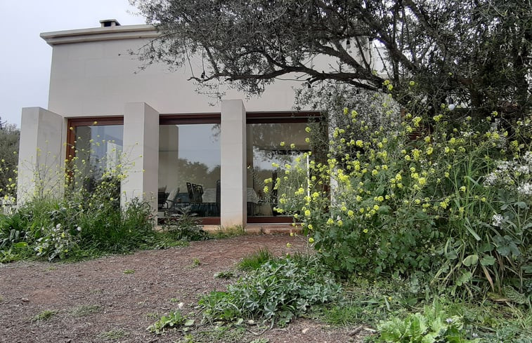 Natuurhuisje in Son Negre. Manacor