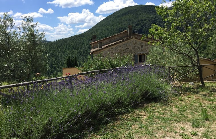 Natuurhuisje in FIRENZE, MUGELLO, VAGLIA (Sitriano)