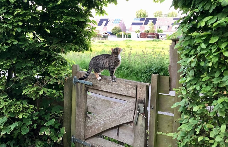 Natuurhuisje in Schoorl