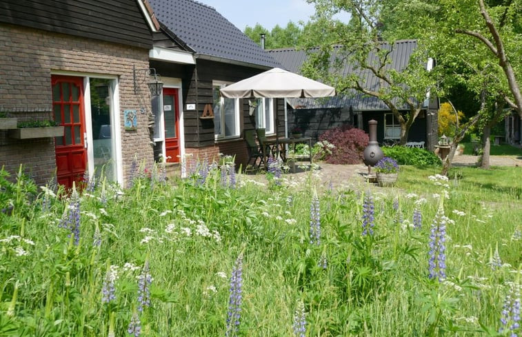 Natuurhuisje in Elp