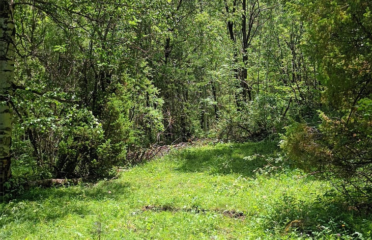 Natuurhuisje in Terre Rouge - Cervieres