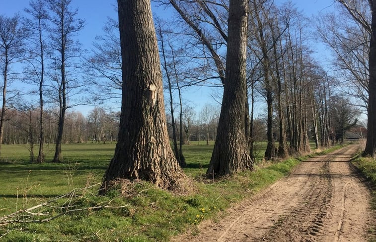 Natuurhuisje in Lievelde